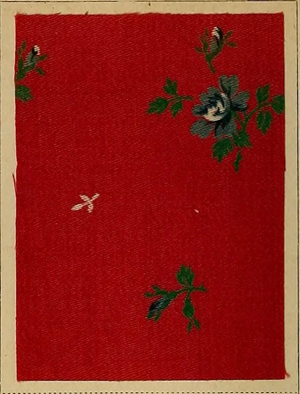 An illustration from The coal tar colours of Farbwerke vorm. Meister, Lucius & Brüning, Hoechst on Main, Germany, applied in calico printing, 1908, leaf 217