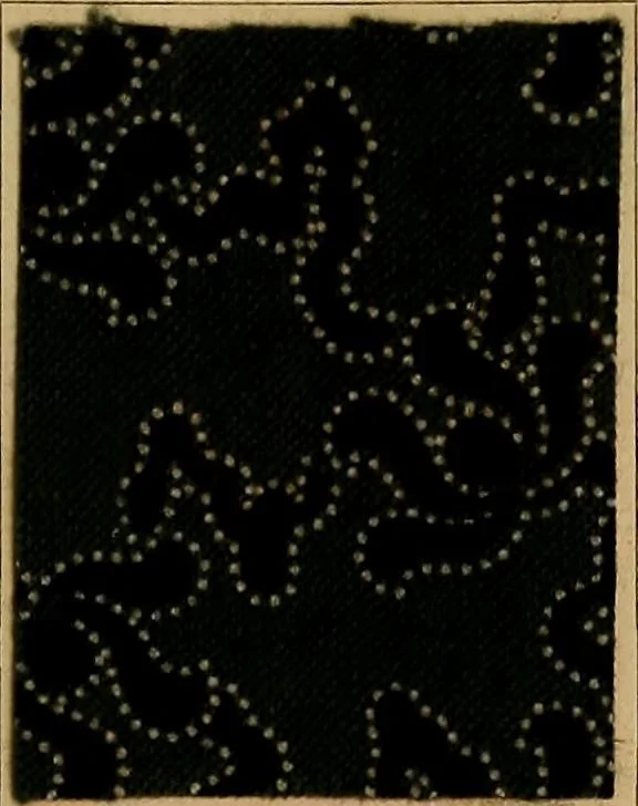 An illustration from The coal tar colours of Farbwerke vorm. Meister, Lucius & Brüning, Hoechst on Main, Germany, applied in calico printing, 1908, leaf 240