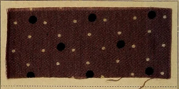 An illustration from The coal tar colours of Farbwerke vorm. Meister, Lucius & Brüning, Hoechst on Main, Germany, applied in calico printing, 1908, leaf 247