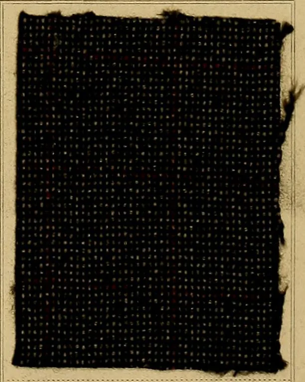 An illustration from The coal tar colours of Farbwerke vorm. Meister, Lucius & Brüning, Hoechst on Main, Germany, applied in calico printing, 1908, leaf 248