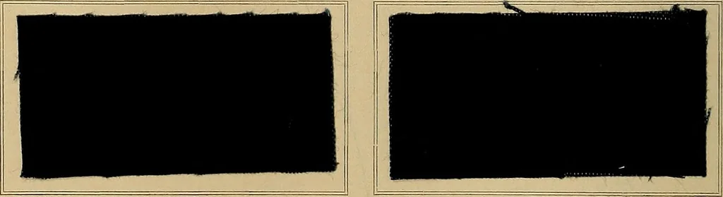 An illustration from The coal tar colours of Farbwerke vorm. Meister, Lucius & Brüning, Hoechst on Main, Germany, applied in calico printing, 1908, leaf 267