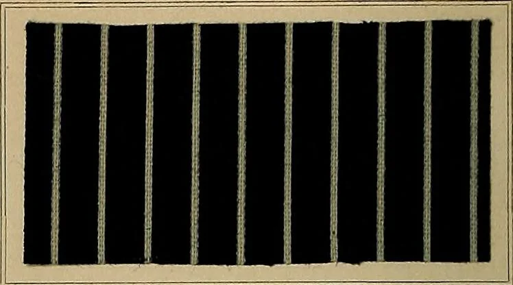 An illustration from The coal tar colours of Farbwerke vorm. Meister, Lucius & Brüning, Hoechst on Main, Germany, applied in calico printing, 1908, leaf 271