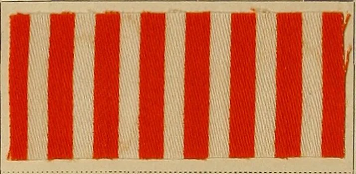 An illustration from The coal tar colours of Farbwerke vorm. Meister, Lucius & Brüning, Hoechst on Main, Germany, applied in calico printing, 1908, leaf 347