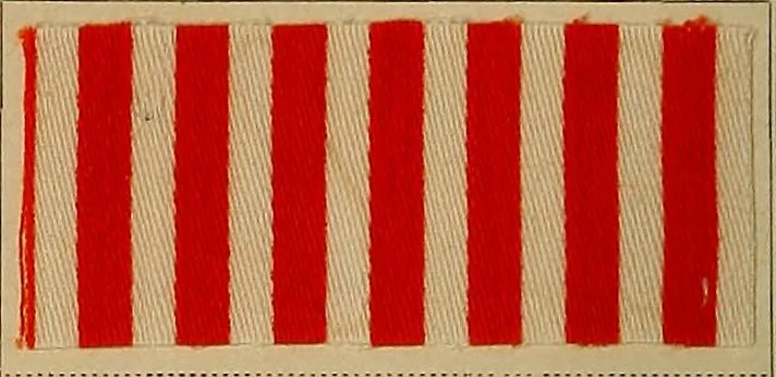 An illustration from The coal tar colours of Farbwerke vorm. Meister, Lucius & Brüning, Hoechst on Main, Germany, applied in calico printing, 1908, leaf 347