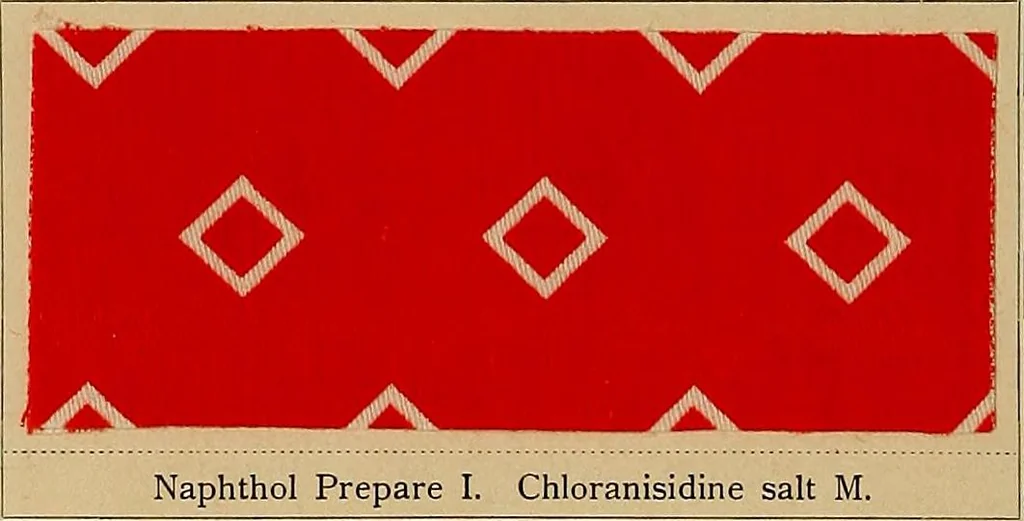 An illustration from The coal tar colours of Farbwerke vorm. Meister, Lucius & Brüning, Hoechst on Main, Germany, applied in calico printing, 1908, leaf 347