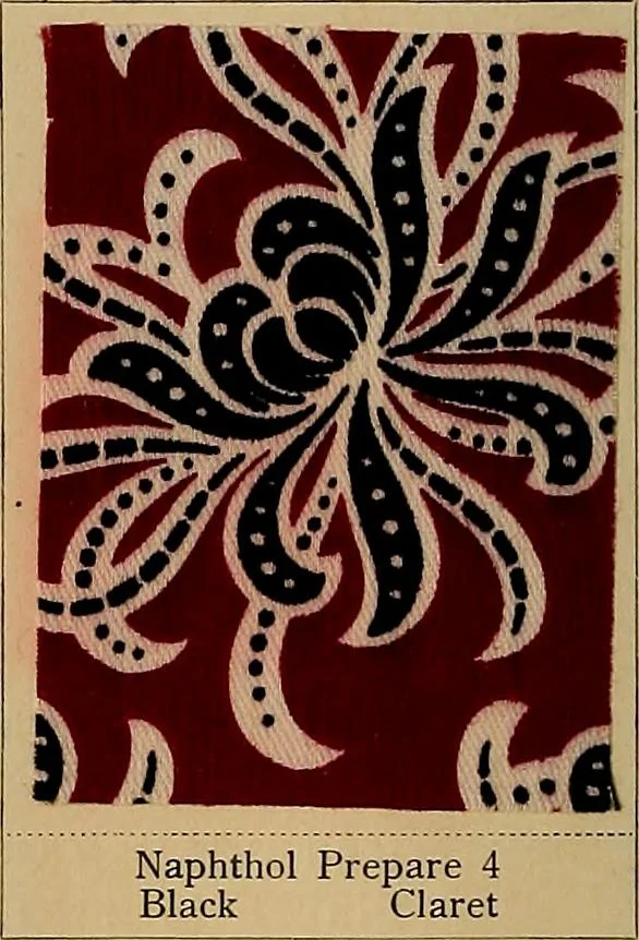 An illustration from The coal tar colours of Farbwerke vorm. Meister, Lucius & Brüning, Hoechst on Main, Germany, applied in calico printing, 1908, leaf 355