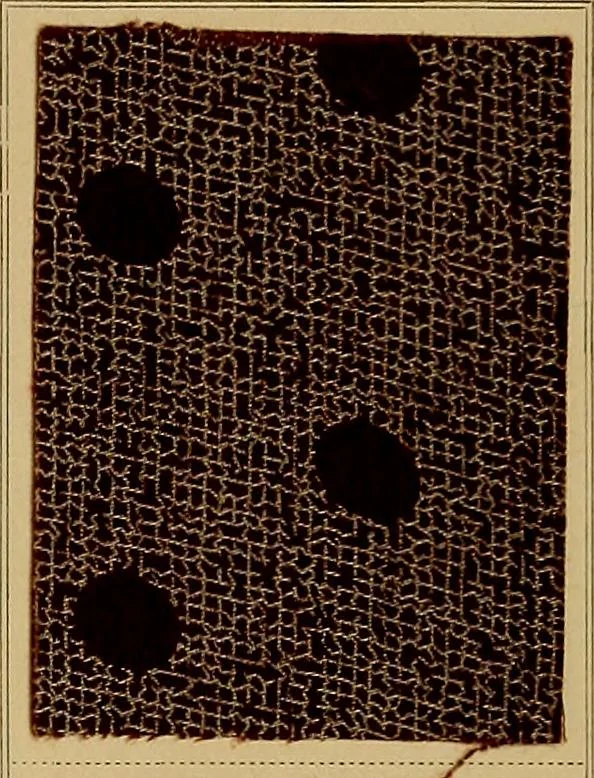 An illustration from The coal tar colours of Farbwerke vorm. Meister, Lucius & Brüning, Hoechst on Main, Germany, applied in calico printing, 1908, leaf 392