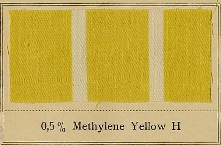 An illustration from The coal tar colours of Farbwerke vorm. Meister, Lucius & Brüning, Hoechst on Main, Germany, applied in calico printing, 1908, leaf 97