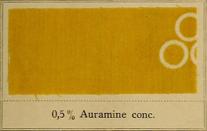An illustration from The coal tar colours of Farbwerke vorm. Meister, Lucius & Brüning, Hoechst on Main, Germany, applied in calico printing, 1908, leaf 98