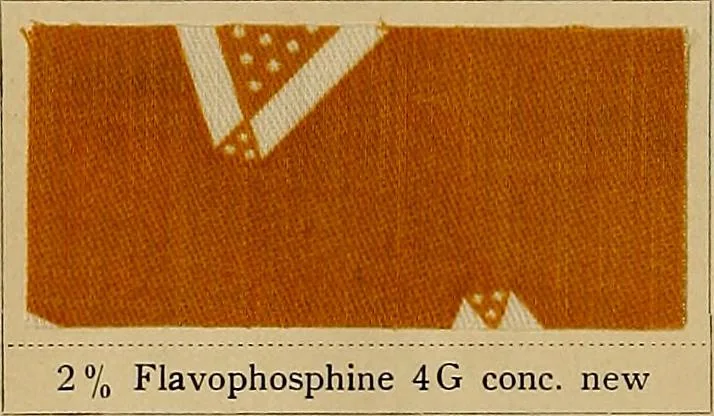An illustration from The coal tar colours of Farbwerke vorm. Meister, Lucius & Brüning, Hoechst on Main, Germany, applied in calico printing, 1908, leaf 99