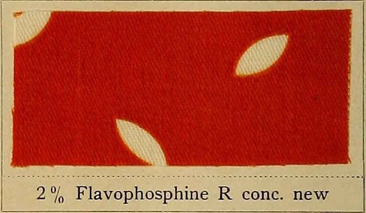 An illustration from The coal tar colours of Farbwerke vorm. Meister, Lucius & Brüning, Hoechst on Main, Germany, applied in calico printing, 1908, leaf 99