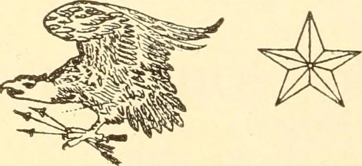 An illustration from Coates sewing and dress making manual .., 1912, leaf 21
