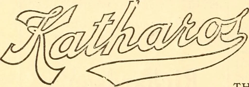 An illustration from Coates sewing and dress making manual .., 1912, leaf 23