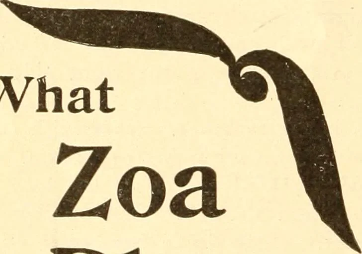 An illustration from Coates sewing and dress making manual .., 1912, leaf 31