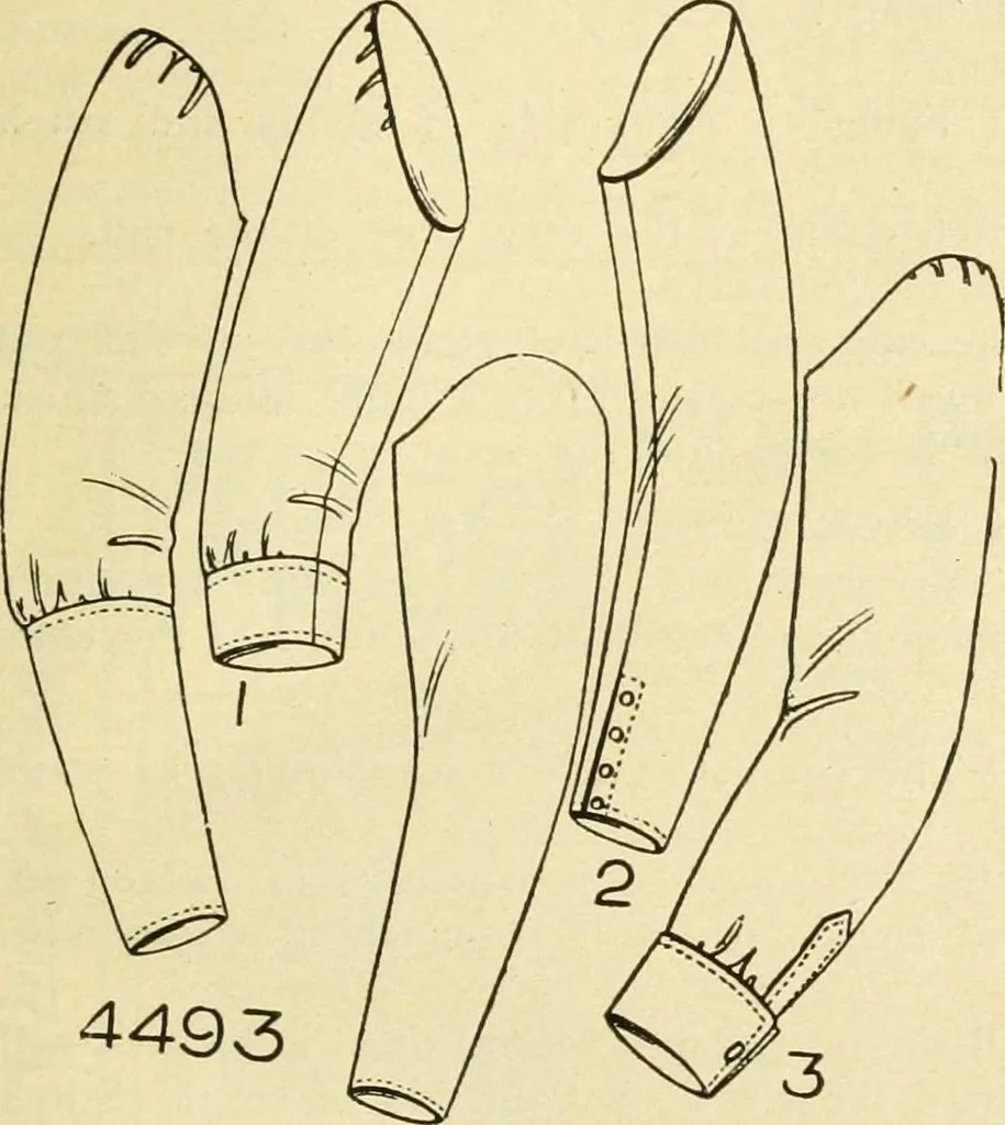 An illustration from Coates sewing and dress making manual .., 1912, leaf 50