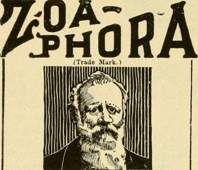 An illustration from Coates sewing and dress making manual .., 1912, leaf 82