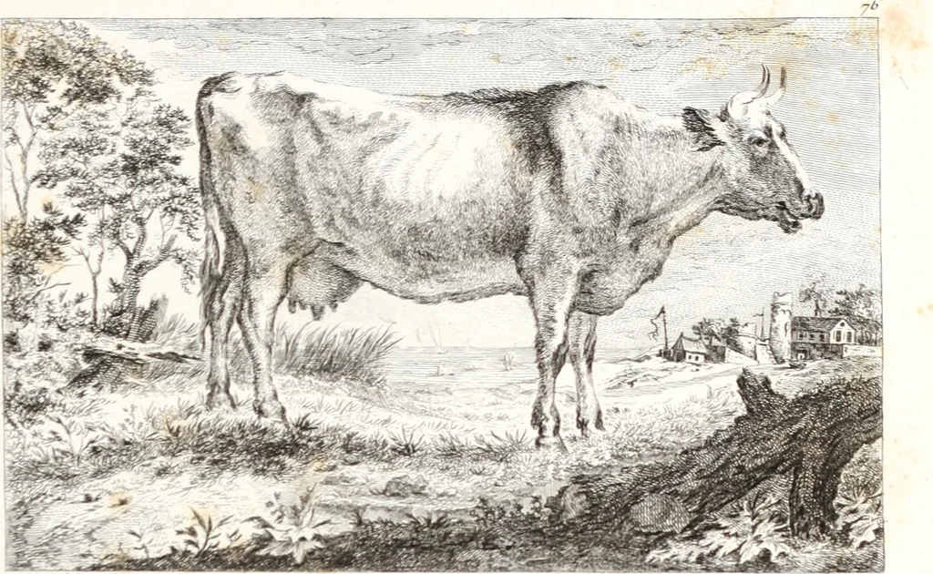 An illustration from Collection de cent-vingt estampes, gravée d'après les tableaux & dessins qui composoient le cabinet de m. Poullain ... précédée d'un abrégé historique de la vie des auteurs qui la composent ... Cette suite a été exécutée sous la direction du sieur Fr. Basan ... par de jeunes artistes des deux sexes, dont les talens se font connoître & accroissent de jour en jour. Le sr. Moitte ... en avoit fait les dessins, d'après les tableaux .., 1781, leaf 172