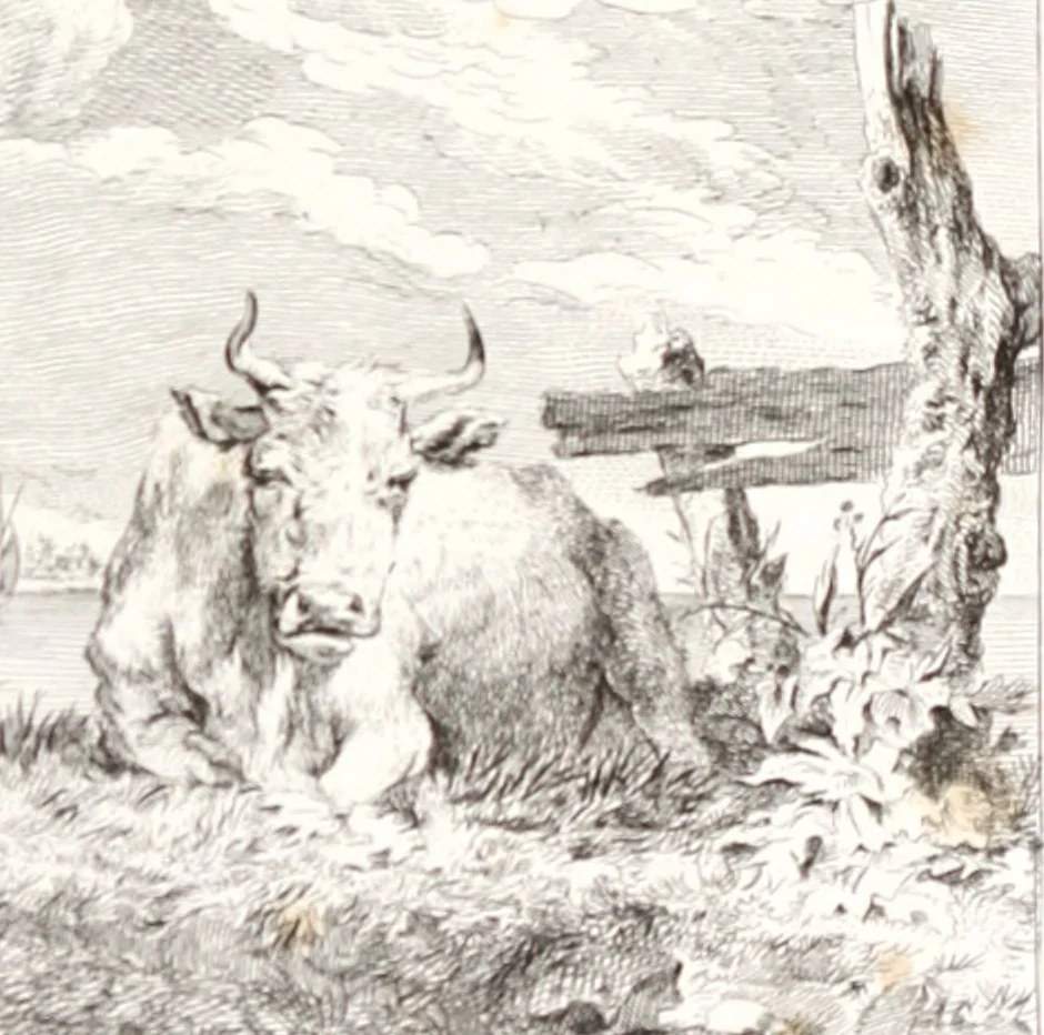 An illustration from Collection de cent-vingt estampes, gravée d'après les tableaux & dessins qui composoient le cabinet de m. Poullain ... précédée d'un abrégé historique de la vie des auteurs qui la composent ... Cette suite a été exécutée sous la direction du sieur Fr. Basan ... par de jeunes artistes des deux sexes, dont les talens se font connoître & accroissent de jour en jour. Le sr. Moitte ... en avoit fait les dessins, d'après les tableaux .., 1781, leaf 172