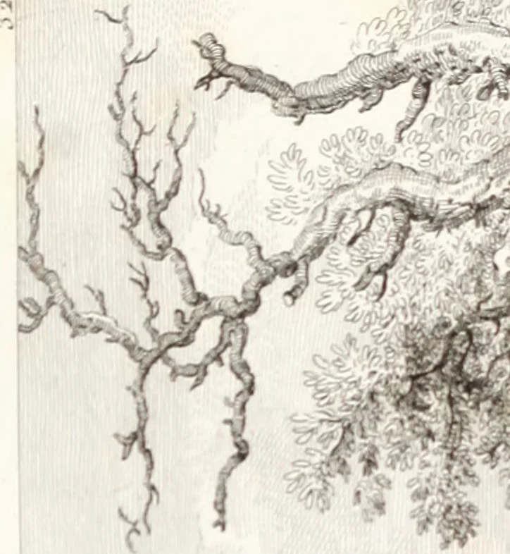 An illustration from Collection de cent-vingt estampes, gravée d'après les tableaux & dessins qui composoient le cabinet de m. Poullain ... précédée d'un abrégé historique de la vie des auteurs qui la composent ... Cette suite a été exécutée sous la direction du sieur Fr. Basan ... par de jeunes artistes des deux sexes, dont les talens se font connoître & accroissent de jour en jour. Le sr. Moitte ... en avoit fait les dessins, d'après les tableaux .., 1781, leaf 90