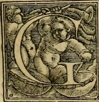 An illustration from Codicis Theodosiani libri XVI : qivbus [sic] svnt ipsorvm principvm avtoritate adiectae novellae Theodosij, Valentiniani, Martiani, Maioriani, Seueri, Caij Institutionum lib. II, Iulij Pauli Receptarum sententiarum lib. V, Gregoriani Codicis lib. V, Hermogeniani lib. I, Papiniani Tit. I : hiis nos adiecimvs ex vetustissimis bibliothecis, eò quod ad ius ciuile pertinerent, & alterius etiam responsa passim in Pandectis legerentur, L. Volusij Metiani lib. de Asse, Iulij Frontini lib. de Controuersijs limitum, cum Aggeni Vrbici Commentarijs, 1528, leaf 120