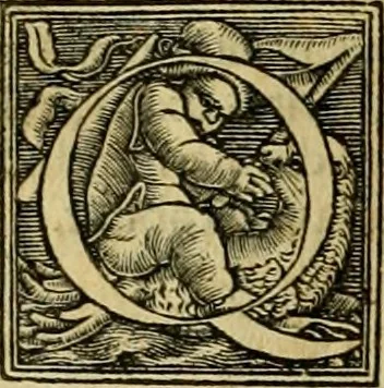An illustration from Codicis Theodosiani libri XVI : qivbus [sic] svnt ipsorvm principvm avtoritate adiectae novellae Theodosij, Valentiniani, Martiani, Maioriani, Seueri, Caij Institutionum lib. II, Iulij Pauli Receptarum sententiarum lib. V, Gregoriani Codicis lib. V, Hermogeniani lib. I, Papiniani Tit. I : hiis nos adiecimvs ex vetustissimis bibliothecis, eò quod ad ius ciuile pertinerent, & alterius etiam responsa passim in Pandectis legerentur, L. Volusij Metiani lib. de Asse, Iulij Frontini lib. de Controuersijs limitum, cum Aggeni Vrbici Commentarijs, 1528, leaf 131