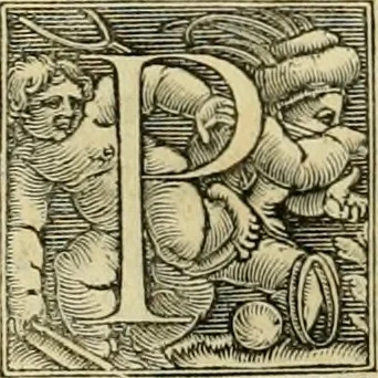 An illustration from Codicis Theodosiani libri XVI : qivbus [sic] svnt ipsorvm principvm avtoritate adiectae novellae Theodosij, Valentiniani, Martiani, Maioriani, Seueri, Caij Institutionum lib. II, Iulij Pauli Receptarum sententiarum lib. V, Gregoriani Codicis lib. V, Hermogeniani lib. I, Papiniani Tit. I : hiis nos adiecimvs ex vetustissimis bibliothecis, eò quod ad ius ciuile pertinerent, & alterius etiam responsa passim in Pandectis legerentur, L. Volusij Metiani lib. de Asse, Iulij Frontini lib. de Controuersijs limitum, cum Aggeni Vrbici Commentarijs, 1528, leaf 159