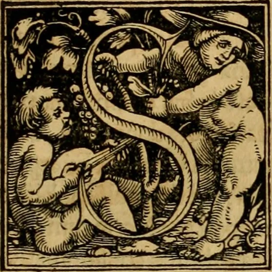 An illustration from Codicis Theodosiani libri XVI : qivbus [sic] svnt ipsorvm principvm avtoritate adiectae novellae Theodosij, Valentiniani, Martiani, Maioriani, Seueri, Caij Institutionum lib. II, Iulij Pauli Receptarum sententiarum lib. V, Gregoriani Codicis lib. V, Hermogeniani lib. I, Papiniani Tit. I : hiis nos adiecimvs ex vetustissimis bibliothecis, eò quod ad ius ciuile pertinerent, & alterius etiam responsa passim in Pandectis legerentur, L. Volusij Metiani lib. de Asse, Iulij Frontini lib. de Controuersijs limitum, cum Aggeni Vrbici Commentarijs, 1528, leaf 16