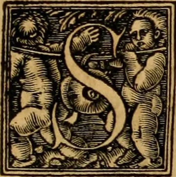An illustration from Codicis Theodosiani libri XVI : qivbus [sic] svnt ipsorvm principvm avtoritate adiectae novellae Theodosij, Valentiniani, Martiani, Maioriani, Seueri, Caij Institutionum lib. II, Iulij Pauli Receptarum sententiarum lib. V, Gregoriani Codicis lib. V, Hermogeniani lib. I, Papiniani Tit. I : hiis nos adiecimvs ex vetustissimis bibliothecis, eò quod ad ius ciuile pertinerent, & alterius etiam responsa passim in Pandectis legerentur, L. Volusij Metiani lib. de Asse, Iulij Frontini lib. de Controuersijs limitum, cum Aggeni Vrbici Commentarijs, 1528, leaf 18