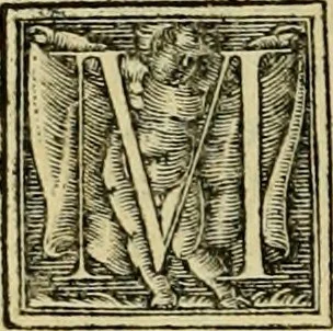 An illustration from Codicis Theodosiani libri XVI : qivbus [sic] svnt ipsorvm principvm avtoritate adiectae novellae Theodosij, Valentiniani, Martiani, Maioriani, Seueri, Caij Institutionum lib. II, Iulij Pauli Receptarum sententiarum lib. V, Gregoriani Codicis lib. V, Hermogeniani lib. I, Papiniani Tit. I : hiis nos adiecimvs ex vetustissimis bibliothecis, eò quod ad ius ciuile pertinerent, & alterius etiam responsa passim in Pandectis legerentur, L. Volusij Metiani lib. de Asse, Iulij Frontini lib. de Controuersijs limitum, cum Aggeni Vrbici Commentarijs, 1528, leaf 229