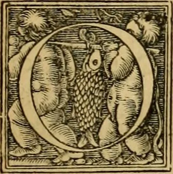 An illustration from Codicis Theodosiani libri XVI : qivbus [sic] svnt ipsorvm principvm avtoritate adiectae novellae Theodosij, Valentiniani, Martiani, Maioriani, Seueri, Caij Institutionum lib. II, Iulij Pauli Receptarum sententiarum lib. V, Gregoriani Codicis lib. V, Hermogeniani lib. I, Papiniani Tit. I : hiis nos adiecimvs ex vetustissimis bibliothecis, eò quod ad ius ciuile pertinerent, & alterius etiam responsa passim in Pandectis legerentur, L. Volusij Metiani lib. de Asse, Iulij Frontini lib. de Controuersijs limitum, cum Aggeni Vrbici Commentarijs, 1528, leaf 244