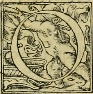 An illustration from Codicis Theodosiani libri XVI : qivbus [sic] svnt ipsorvm principvm avtoritate adiectae novellae Theodosij, Valentiniani, Martiani, Maioriani, Seueri, Caij Institutionum lib. II, Iulij Pauli Receptarum sententiarum lib. V, Gregoriani Codicis lib. V, Hermogeniani lib. I, Papiniani Tit. I : hiis nos adiecimvs ex vetustissimis bibliothecis, eò quod ad ius ciuile pertinerent, & alterius etiam responsa passim in Pandectis legerentur, L. Volusij Metiani lib. de Asse, Iulij Frontini lib. de Controuersijs limitum, cum Aggeni Vrbici Commentarijs, 1528, leaf 261