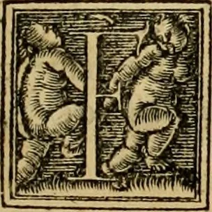 An illustration from Codicis Theodosiani libri XVI : qivbus [sic] svnt ipsorvm principvm avtoritate adiectae novellae Theodosij, Valentiniani, Martiani, Maioriani, Seueri, Caij Institutionum lib. II, Iulij Pauli Receptarum sententiarum lib. V, Gregoriani Codicis lib. V, Hermogeniani lib. I, Papiniani Tit. I : hiis nos adiecimvs ex vetustissimis bibliothecis, eò quod ad ius ciuile pertinerent, & alterius etiam responsa passim in Pandectis legerentur, L. Volusij Metiani lib. de Asse, Iulij Frontini lib. de Controuersijs limitum, cum Aggeni Vrbici Commentarijs, 1528, leaf 332
