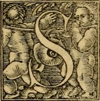 An illustration from Codicis Theodosiani libri XVI : qivbus [sic] svnt ipsorvm principvm avtoritate adiectae novellae Theodosij, Valentiniani, Martiani, Maioriani, Seueri, Caij Institutionum lib. II, Iulij Pauli Receptarum sententiarum lib. V, Gregoriani Codicis lib. V, Hermogeniani lib. I, Papiniani Tit. I : hiis nos adiecimvs ex vetustissimis bibliothecis, eò quod ad ius ciuile pertinerent, & alterius etiam responsa passim in Pandectis legerentur, L. Volusij Metiani lib. de Asse, Iulij Frontini lib. de Controuersijs limitum, cum Aggeni Vrbici Commentarijs, 1528, leaf 338