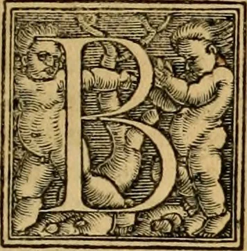 An illustration from Codicis Theodosiani libri XVI : qivbus [sic] svnt ipsorvm principvm avtoritate adiectae novellae Theodosij, Valentiniani, Martiani, Maioriani, Seueri, Caij Institutionum lib. II, Iulij Pauli Receptarum sententiarum lib. V, Gregoriani Codicis lib. V, Hermogeniani lib. I, Papiniani Tit. I : hiis nos adiecimvs ex vetustissimis bibliothecis, eò quod ad ius ciuile pertinerent, & alterius etiam responsa passim in Pandectis legerentur, L. Volusij Metiani lib. de Asse, Iulij Frontini lib. de Controuersijs limitum, cum Aggeni Vrbici Commentarijs, 1528, leaf 6