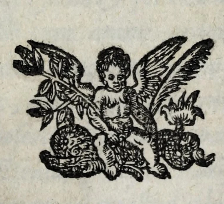 An illustration from Codicum cabalisticorum manuscriptorum, quibus est vsus Ioannes Picus comes Mirandulanus, index, 1651, leaf 3