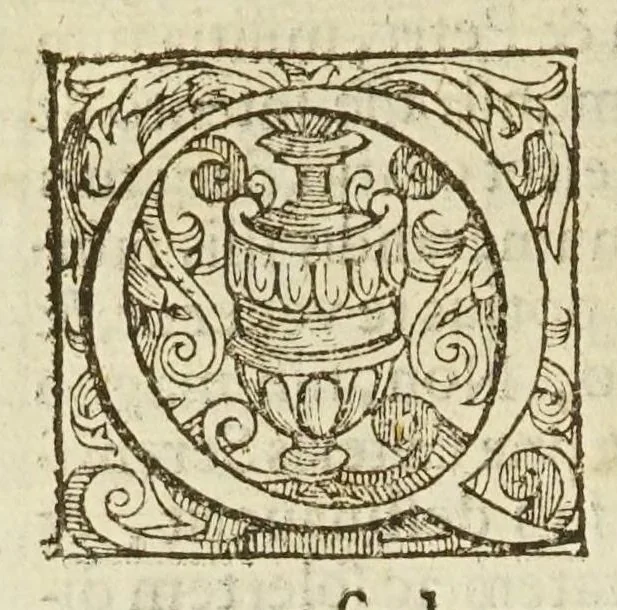 An illustration from Coelestis physiognomoniae libri sex Ioan. Baptistae Portae Neapolitani : vnde quis facile ex humani vultus extima inspectione, poterit ex coniectura futura praesagire : in quibus etiam astrologia refellitur, & inanis, & imaginaria demonstratur, 1603, leaf 10