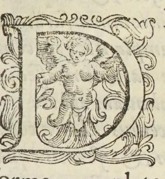 An illustration from Coelestis physiognomoniae libri sex Ioan. Baptistae Portae Neapolitani : vnde quis facile ex humani vultus extima inspectione, poterit ex coniectura futura praesagire : in quibus etiam astrologia refellitur, & inanis, & imaginaria demonstratur, 1603, leaf 119