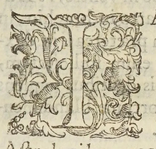 An illustration from Coelestis physiognomoniae libri sex Ioan. Baptistae Portae Neapolitani : vnde quis facile ex humani vultus extima inspectione, poterit ex coniectura futura praesagire : in quibus etiam astrologia refellitur, & inanis, & imaginaria demonstratur, 1603, leaf 161