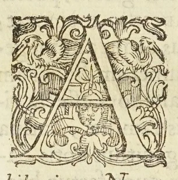 An illustration from Coelestis physiognomoniae libri sex Ioan. Baptistae Portae Neapolitani : vnde quis facile ex humani vultus extima inspectione, poterit ex coniectura futura praesagire : in quibus etiam astrologia refellitur, & inanis, & imaginaria demonstratur, 1603, leaf 162