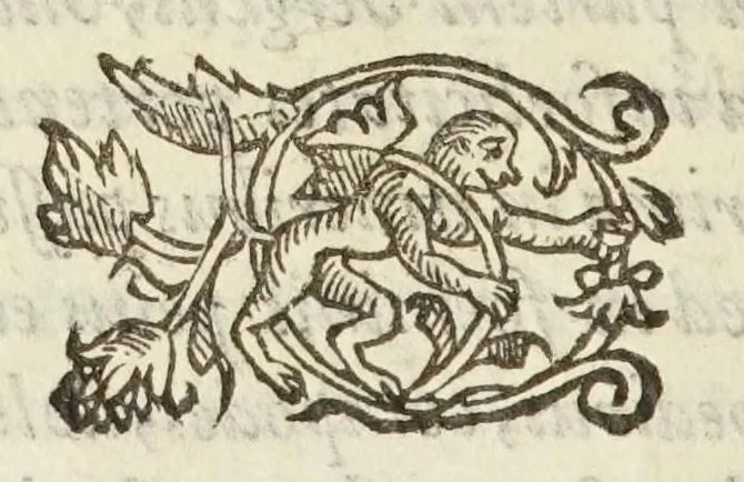 An illustration from Coelestis physiognomoniae libri sex Ioan. Baptistae Portae Neapolitani : vnde quis facile ex humani vultus extima inspectione, poterit ex coniectura futura praesagire : in quibus etiam astrologia refellitur, & inanis, & imaginaria demonstratur, 1603, leaf 170