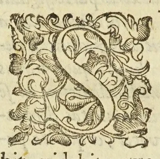 An illustration from Coelestis physiognomoniae libri sex Ioan. Baptistae Portae Neapolitani : vnde quis facile ex humani vultus extima inspectione, poterit ex coniectura futura praesagire : in quibus etiam astrologia refellitur, & inanis, & imaginaria demonstratur, 1603, leaf 182