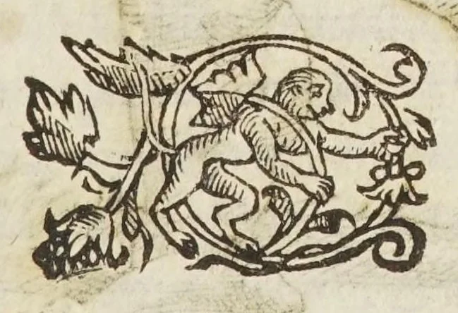An illustration from Coelestis physiognomoniae libri sex Ioan. Baptistae Portae Neapolitani : vnde quis facile ex humani vultus extima inspectione, poterit ex coniectura futura praesagire : in quibus etiam astrologia refellitur, & inanis, & imaginaria demonstratur, 1603, leaf 189