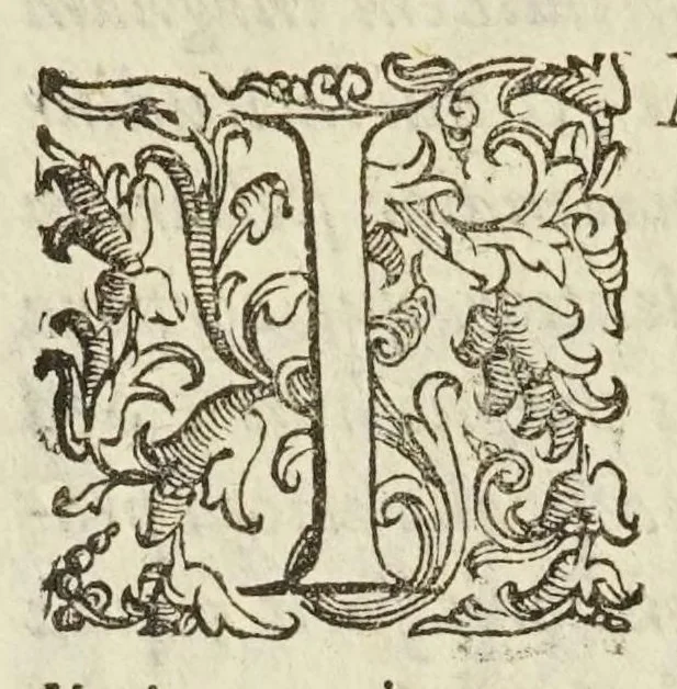 An illustration from Coelestis physiognomoniae libri sex Ioan. Baptistae Portae Neapolitani : vnde quis facile ex humani vultus extima inspectione, poterit ex coniectura futura praesagire : in quibus etiam astrologia refellitur, & inanis, & imaginaria demonstratur, 1603, leaf 196