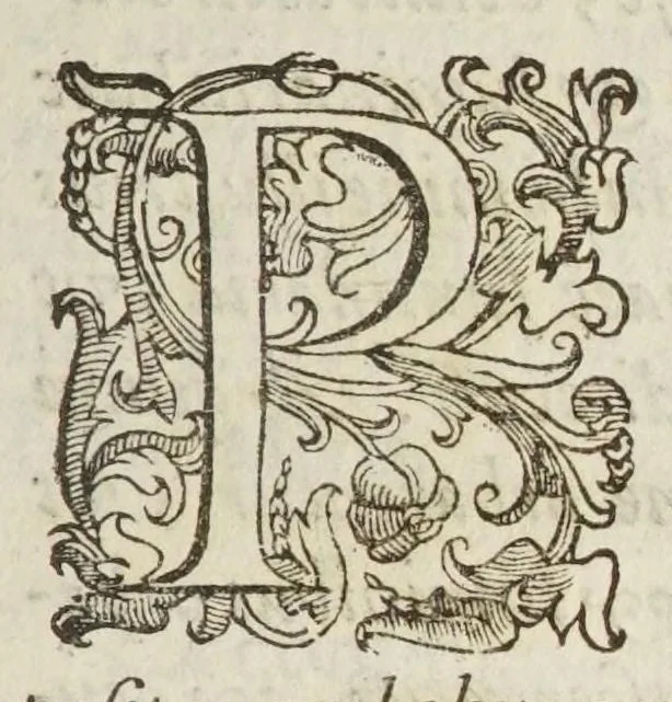 An illustration from Coelestis physiognomoniae libri sex Ioan. Baptistae Portae Neapolitani : vnde quis facile ex humani vultus extima inspectione, poterit ex coniectura futura praesagire : in quibus etiam astrologia refellitur, & inanis, & imaginaria demonstratur, 1603, leaf 197