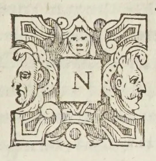 An illustration from Coelestis physiognomoniae libri sex Ioan. Baptistae Portae Neapolitani : vnde quis facile ex humani vultus extima inspectione, poterit ex coniectura futura praesagire : in quibus etiam astrologia refellitur, & inanis, & imaginaria demonstratur, 1603, leaf 29