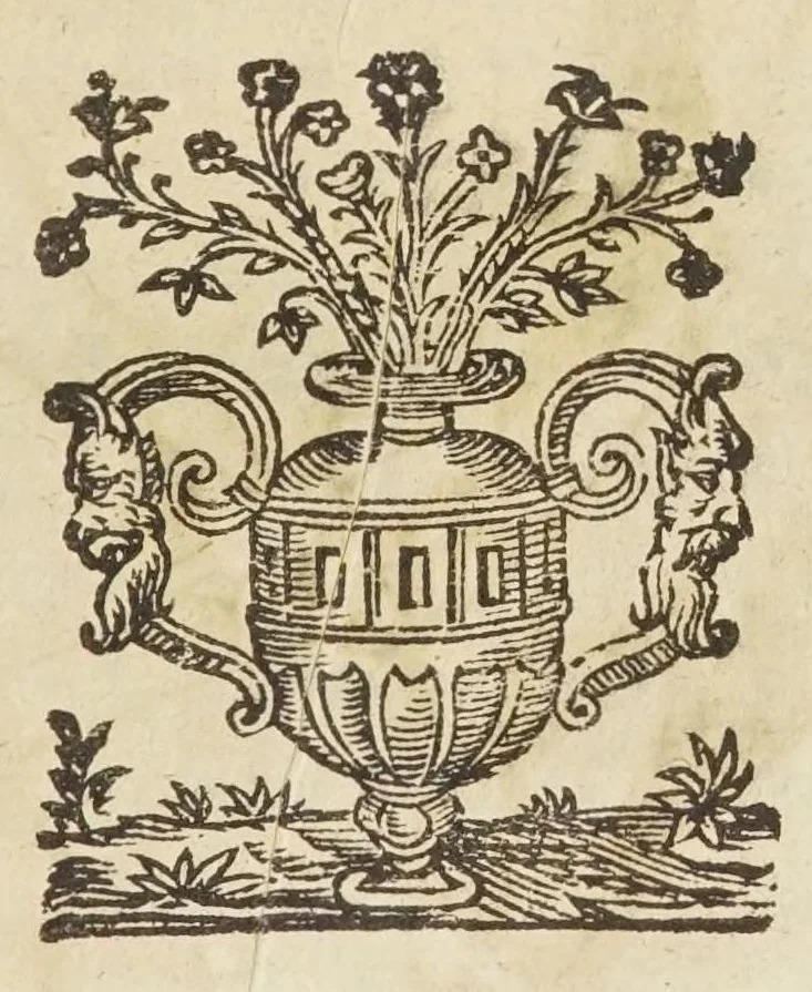 An illustration from Coelestis physiognomoniae libri sex Ioan. Baptistae Portae Neapolitani : vnde quis facile ex humani vultus extima inspectione, poterit ex coniectura futura praesagire : in quibus etiam astrologia refellitur, & inanis, & imaginaria demonstratur, 1603, leaf 49
