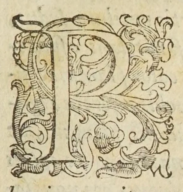 An illustration from Coelestis physiognomoniae libri sex Ioan. Baptistae Portae Neapolitani : vnde quis facile ex humani vultus extima inspectione, poterit ex coniectura futura praesagire : in quibus etiam astrologia refellitur, & inanis, & imaginaria demonstratur, 1603, leaf 51