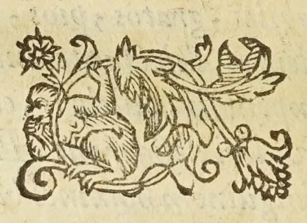 An illustration from Coelestis physiognomoniae libri sex Ioan. Baptistae Portae Neapolitani : vnde quis facile ex humani vultus extima inspectione, poterit ex coniectura futura praesagire : in quibus etiam astrologia refellitur, & inanis, & imaginaria demonstratur, 1603, leaf 76