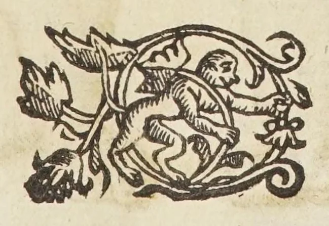An illustration from Coelestis physiognomoniae libri sex Ioan. Baptistae Portae Neapolitani : vnde quis facile ex humani vultus extima inspectione, poterit ex coniectura futura praesagire : in quibus etiam astrologia refellitur, & inanis, & imaginaria demonstratur, 1603, leaf 85