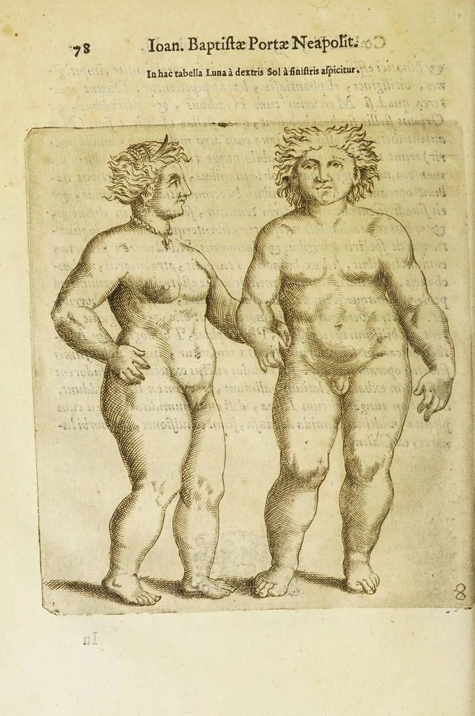 An illustration from Coelestis physiognomoniae libri sex Ioan. Baptistae Portae Neapolitani : vnde quis facile ex humani vultus extima inspectione, poterit ex coniectura futura praesagire : in quibus etiam astrologia refellitur, & inanis, & imaginaria demonstratur, 1603, leaf 86